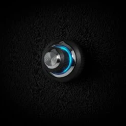 JL Audio -JL Audio DRC 205 Teal